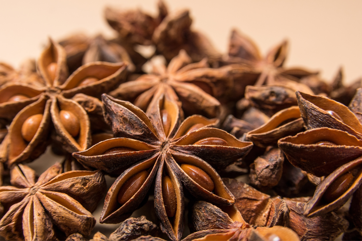 Oil of the Month: Anise Star Essential Oil - Properties, Uses & Recipes!