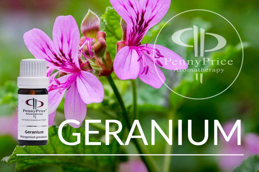 Oil of the Month Geranium | The Cleansing Oil