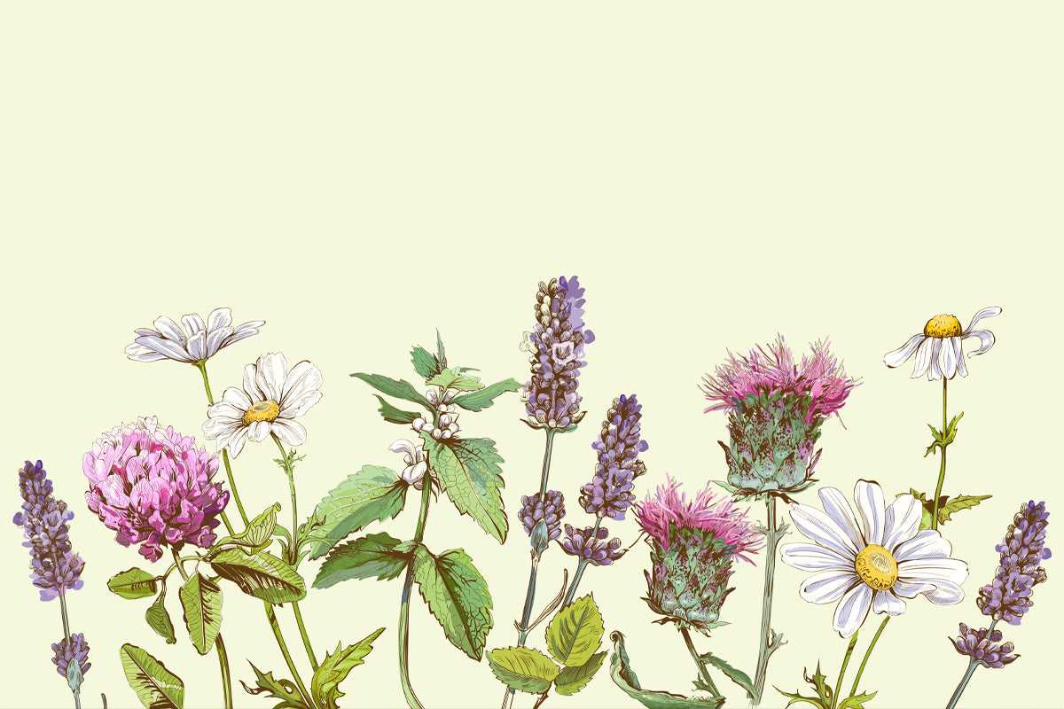 Aromas from the Bible