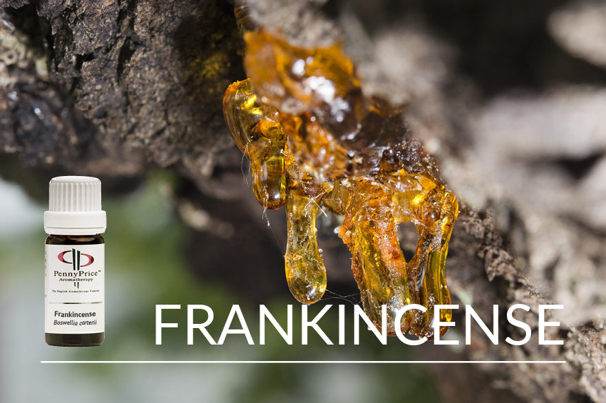 Oil of the Month Frankincense | The Spiritual Oil