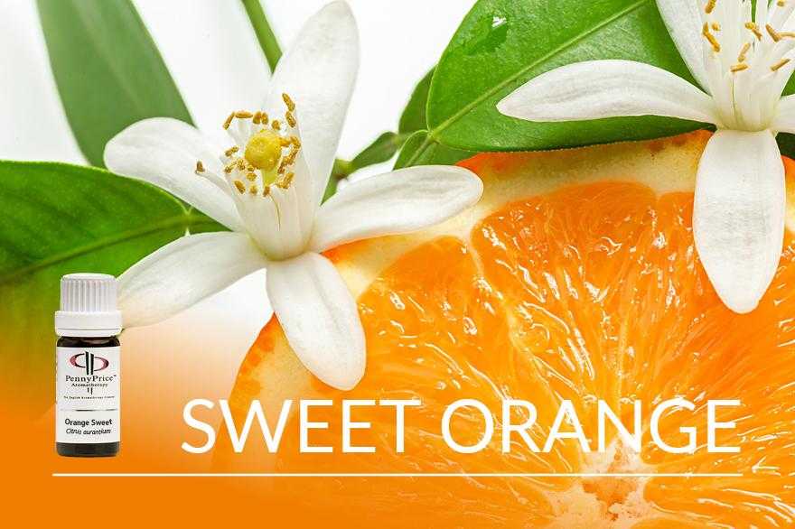Oil of the Month Sweet Orange | The Happy Oil