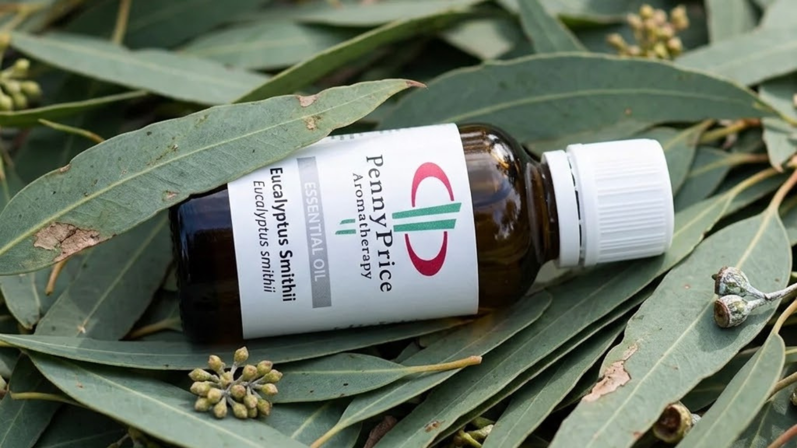 Eucalyptus Smithii Essential Oil