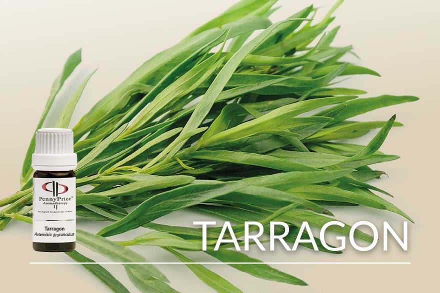 Unusual Essential Oils - Tarragon