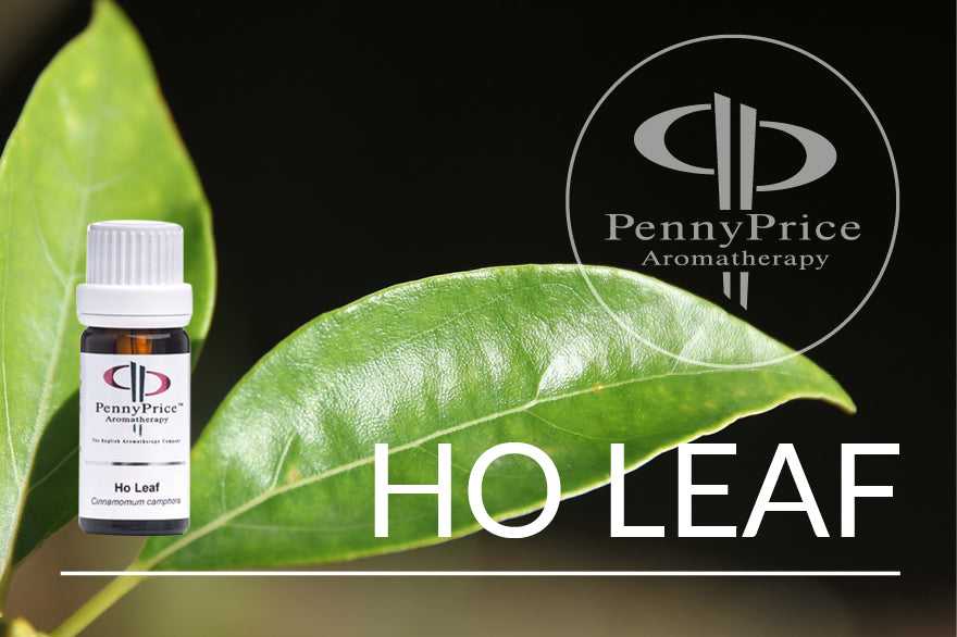 Oil of the Month Ho Leaf