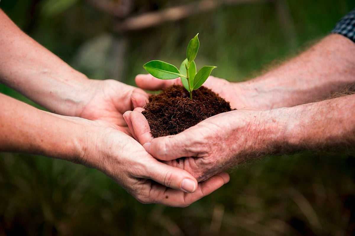 Sustainability & Essential Oils