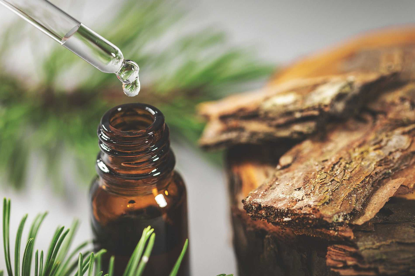 Introduction to Aromatherapy