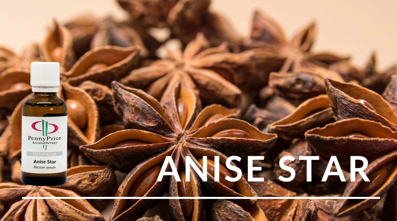 Oil of the Month: Anise Star Essential Oil - Properties, Uses & Recipes!