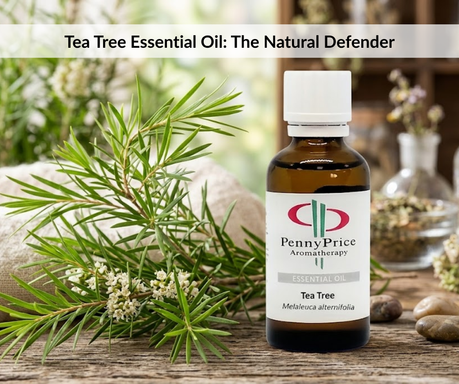 Tea Tree Essential Oil: The Natural Defender