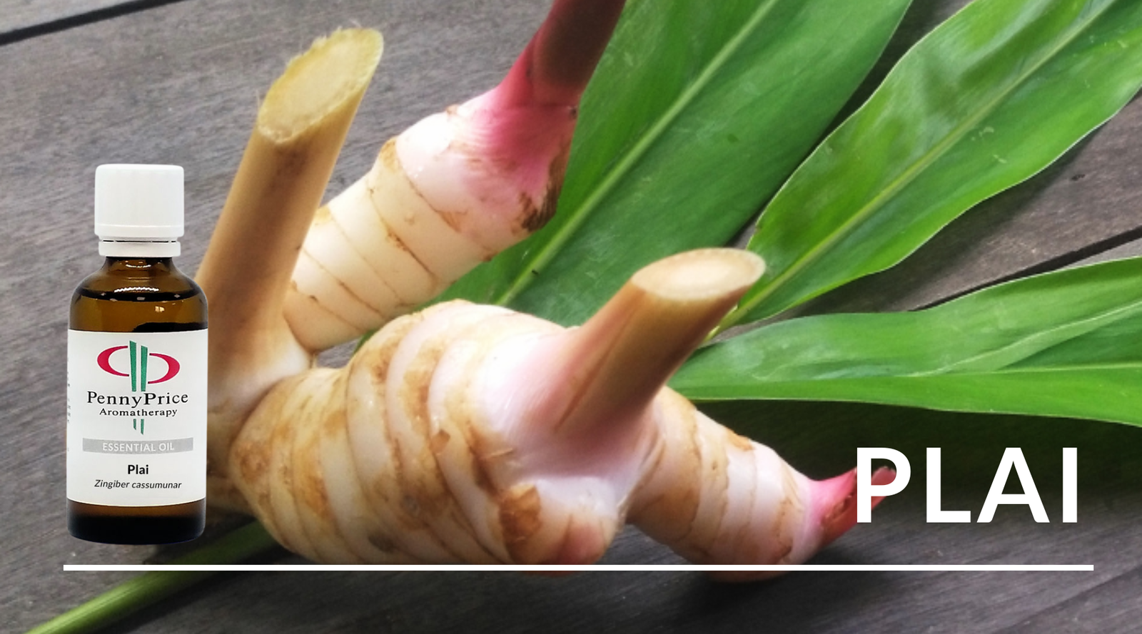 Unusual Essential Oils - Plai