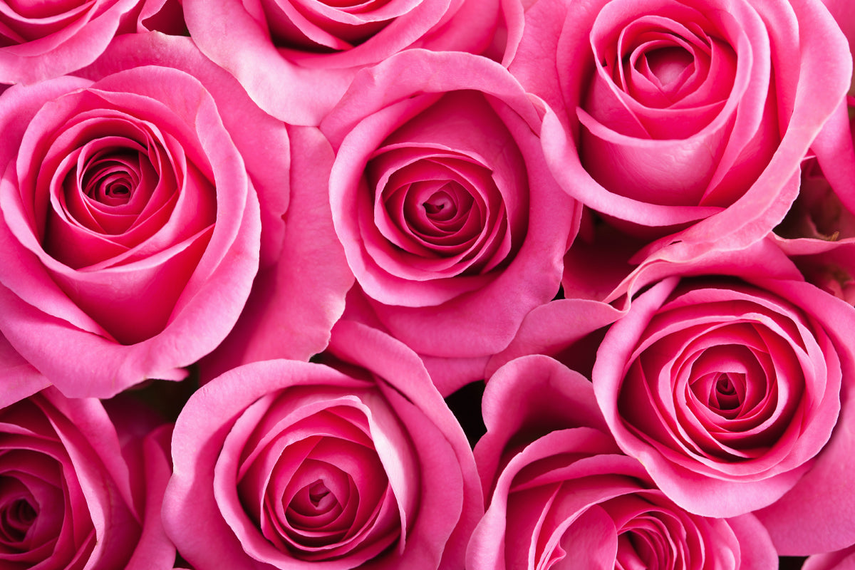 A Rose by any other Name