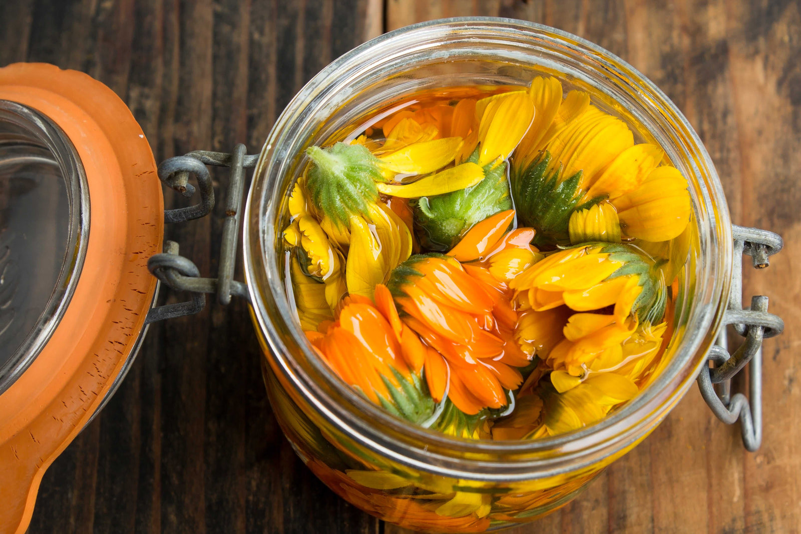Making Macerated Oils