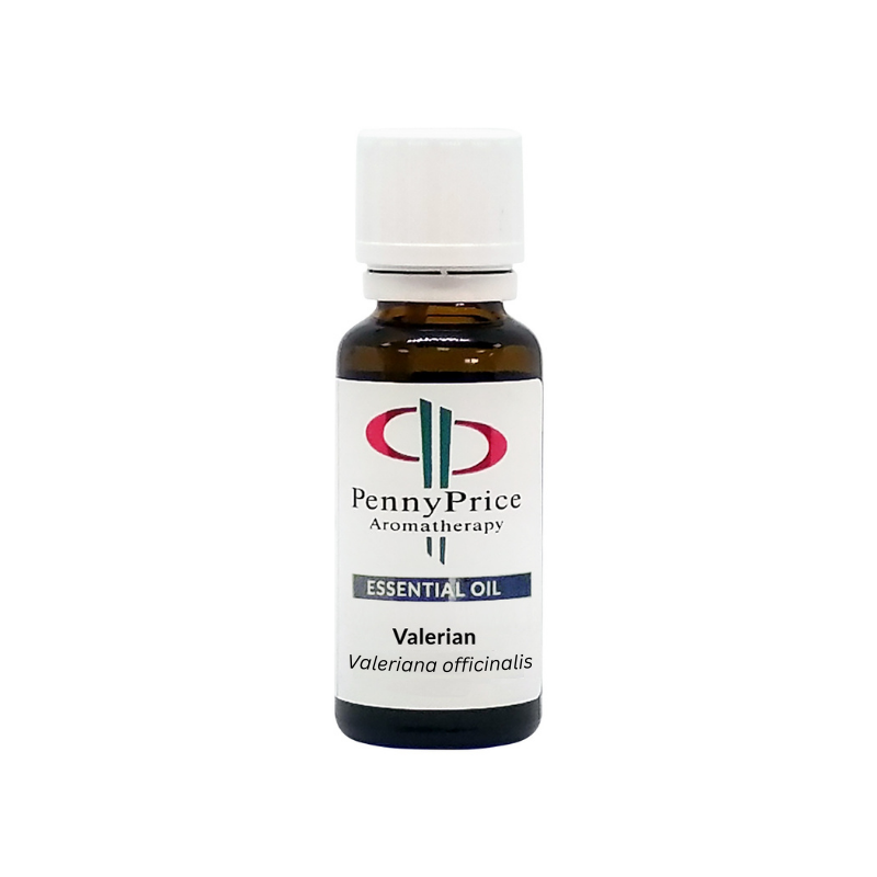 Valerian Essential Oil