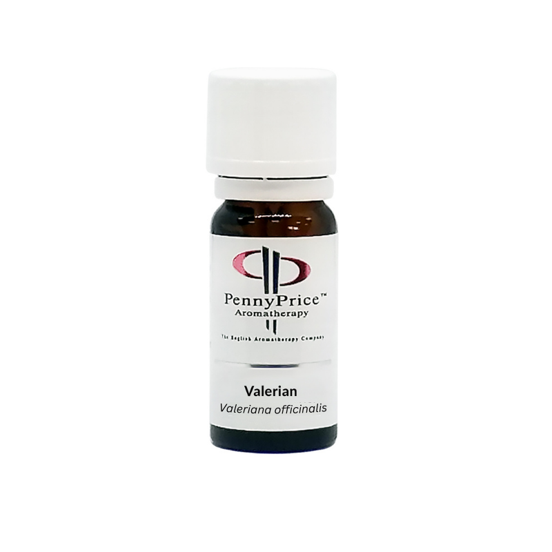 Valerian Essential Oil