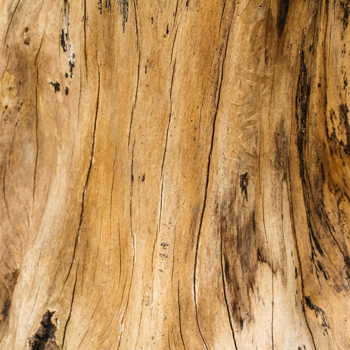 Amyris Essential Oil