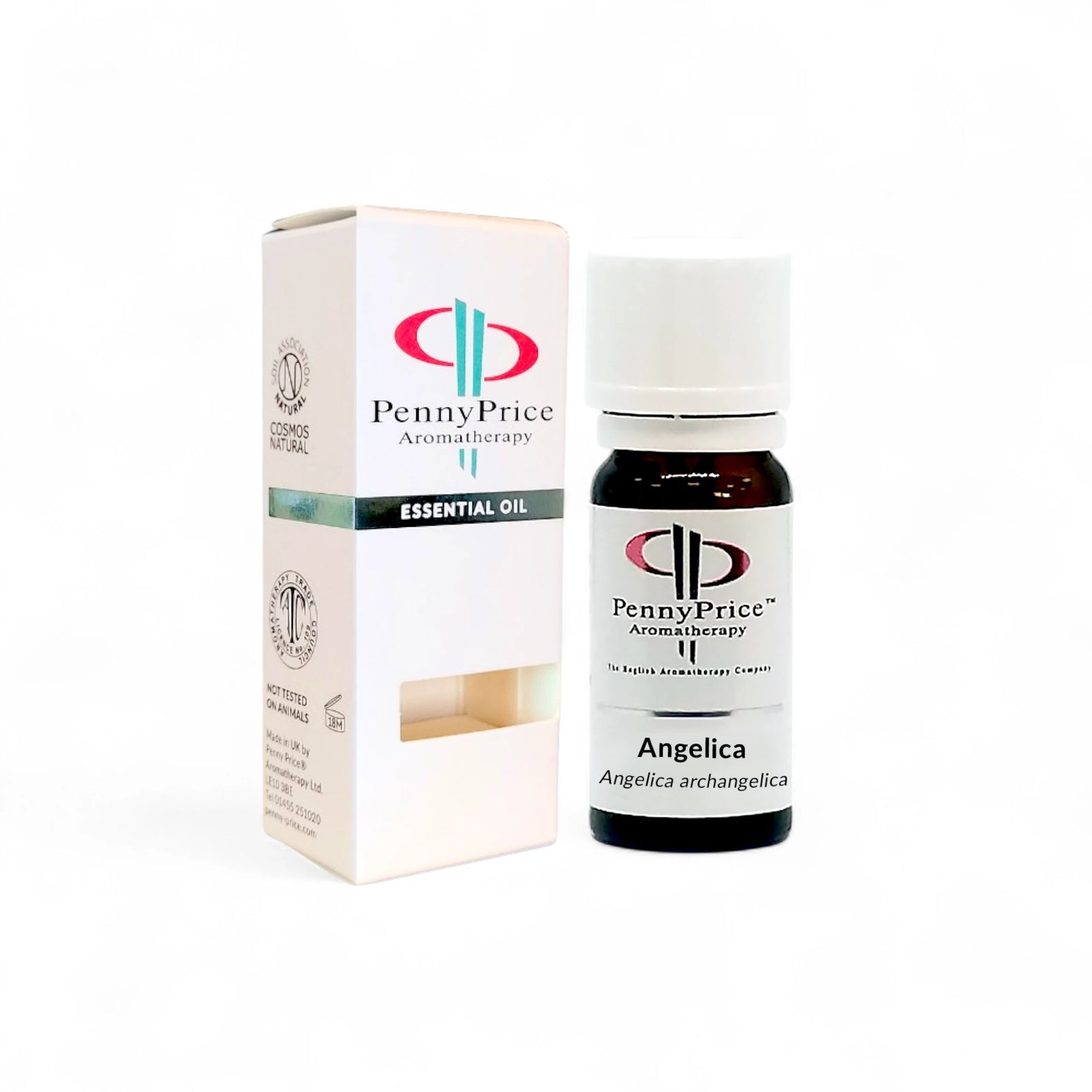 Angelica Essential Oil