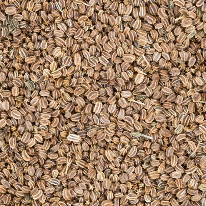 Celery Seed Essential Oil