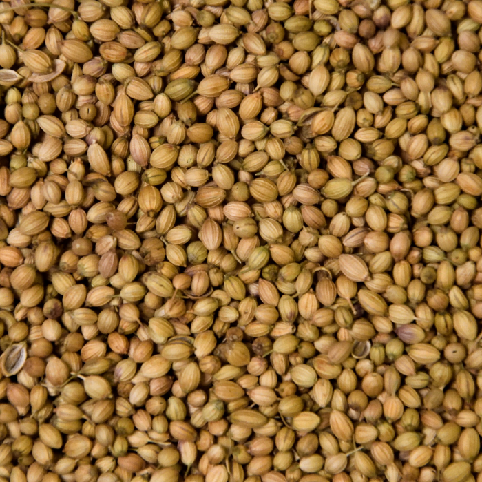 Coriander Essential Oil