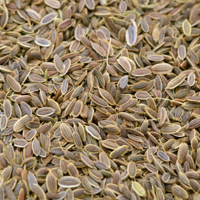 Dill Essential Oil