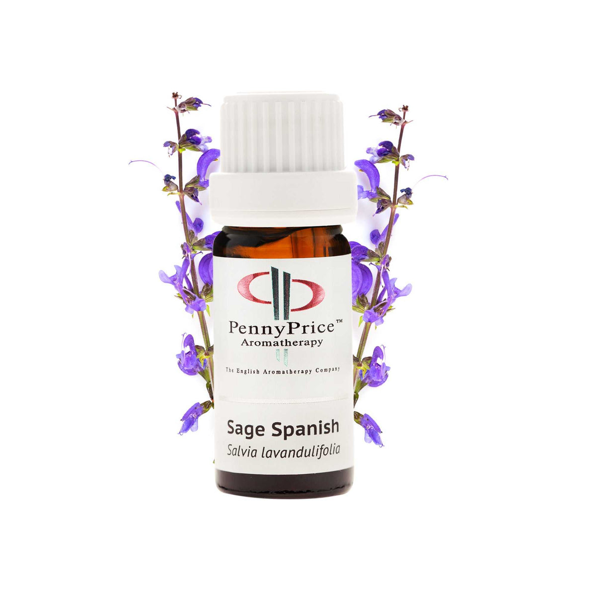 Blending Essential Oils Mini Series: Starter Kit