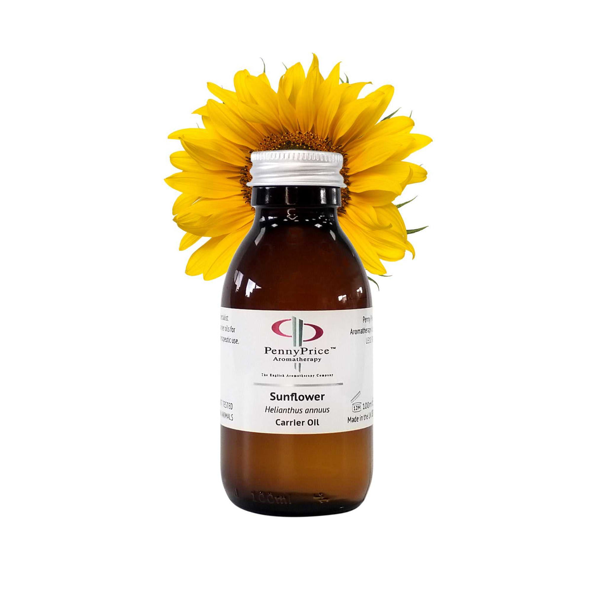 Blending Essential Oils Mini Series: Starter Kit
