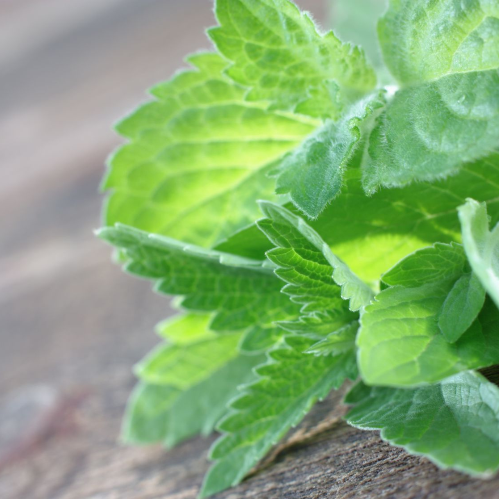 Reflexology Talcum Powder - Tea Tree & Peppermint