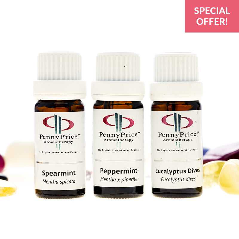 Fresh & Minty - Essential Oil Set