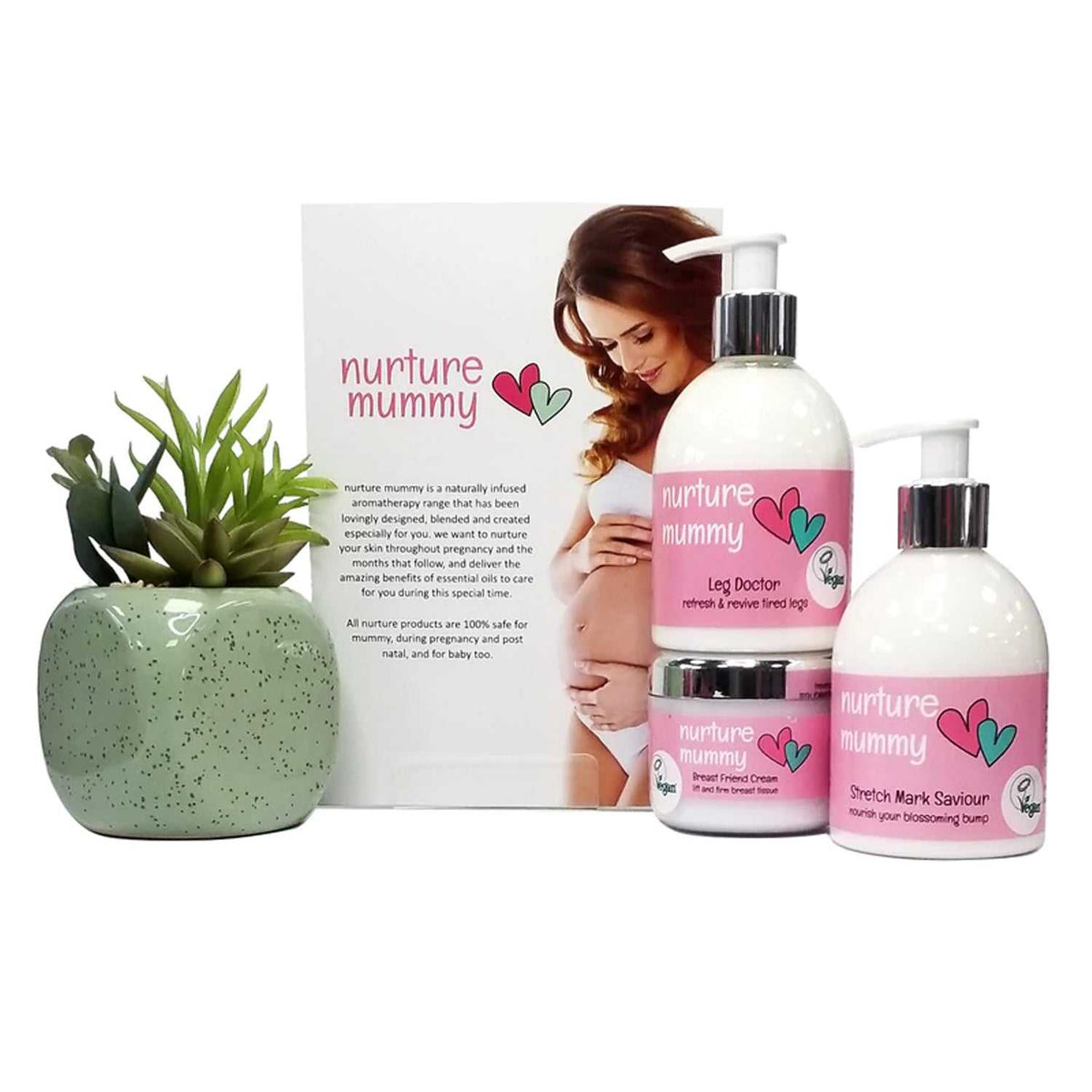 Pregnancy Essentials Deluxe