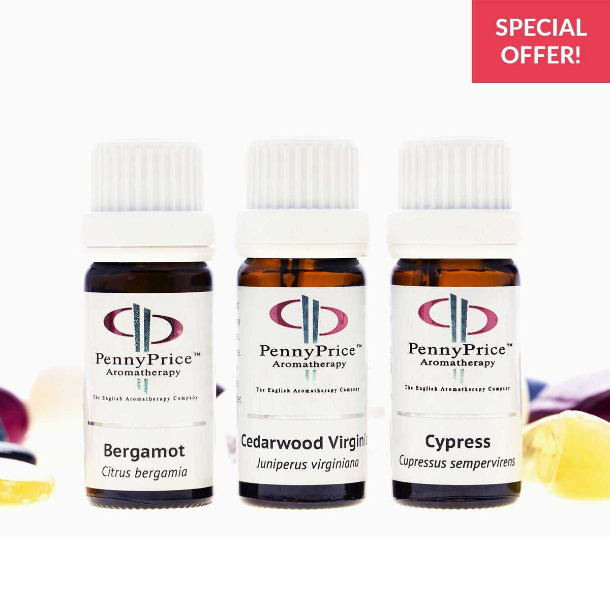 Wildwood - Essential Oil Set
